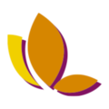 Ladysoft logo