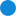 BLAUPUNKT logo